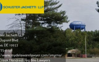 little creek hundred, de dog bite lawyers ppg industries, inc.