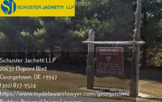 redden, de personal injury lawyers redden state forest